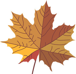 Maple leaf yellow