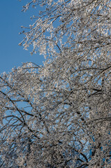 Freezing rain