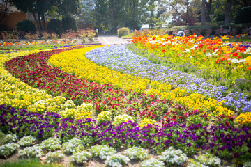 花畑カラフル