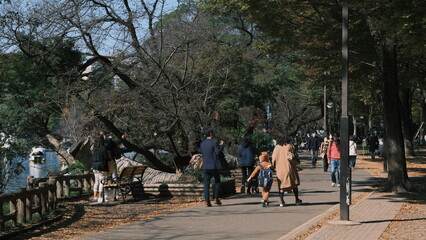 people walking in the park on a sunny autumn day