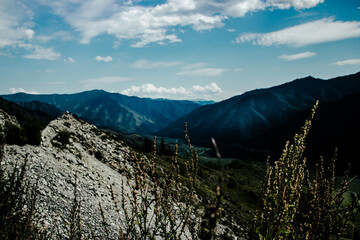 landscape in the mountains