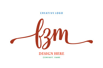 FZM lettering logo is simple, easy to understand and authoritative