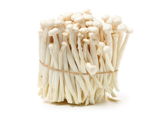 White beech mushrooms on white background 