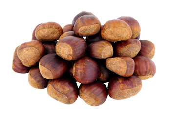 Group of uncooked Spanish chestnuts in shells isolated on a white background