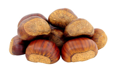 Group of uncooked Spanish chestnuts in shells isolated on a white background