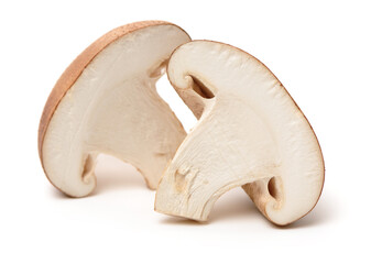 Fototapeta premium Shiitake mushroom on the White background 