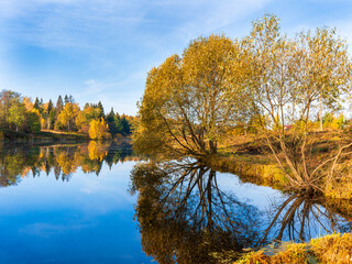Yellow autumn nature during sunrise and blue sky with reflection in lake water