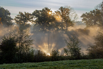 Morgenstimmung am See