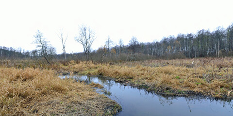 Autumn fishing on the pond, beautiful panorama.