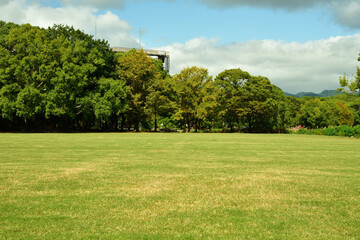 公園イメージ　広大な芝生の公園
