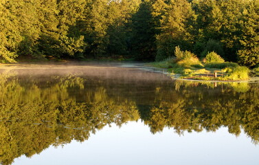 Light fog on a forest lake in the early Sunny summer morning.