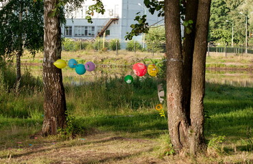 Balloons hang on a string between trees. Moscow region. Russia.