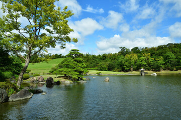 日本庭園　池の松