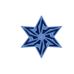 star with a pattern on a white background.