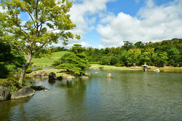 日本庭園　池の松