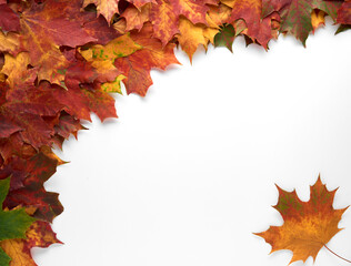 Border frame of colorful autumn leaves isolated on white background. Autumn, fall, thanksgiving day, nature concept. Flat lay, top view, copy space.