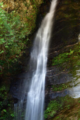 Fototapeta na wymiar 祖谷の琵琶の滝