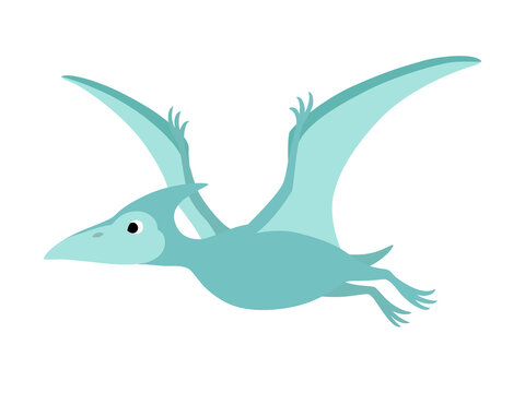 133 Best プテラノドン Images Stock Photos Vectors Adobe Stock 133 Best プテラノドン Images Stock Photos Vectors Adobe Stock