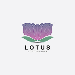 Vector lotus flowers design for spa, yoga class, hotel and resort