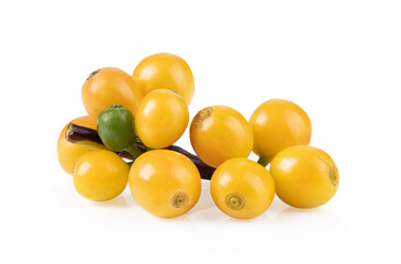 fresh yellow coffee beans isolated on white background