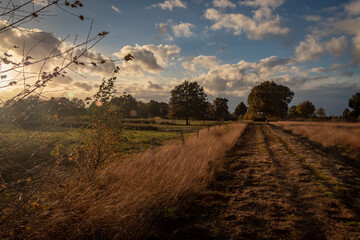 Herbst im Recker Moor
