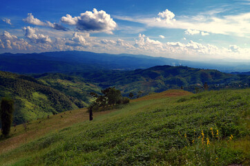 Chiang Rai, Thailand - Countryside near Doi Chaang Coffee Plantation