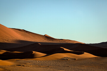 Sand dune abstracts at first light, Sossusvlei, Namibia.