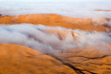 Sand dune abstracts at first light, Sossusvlei, Namibia.