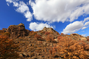 Natural scenery of Qingshan Park in Keshiketeng World Geopark, Inner Mongolia
