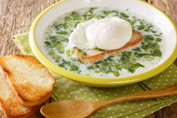 Changua is quite simply an egg and milk soup, but it's warming, hearty and absolutely delicious closeup in the plate on the table. horizontal