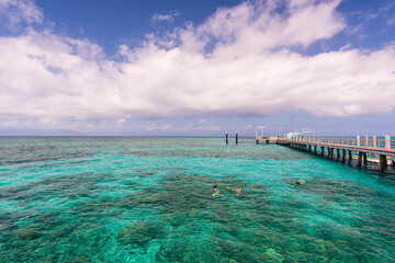 Obraz premium グリーン島の夏 