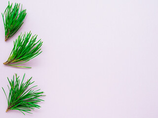 Green Christmas tree branches on a pink background, top view, copy space, flat lay