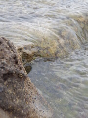 Water and rocks
