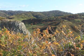 autumn nature of the island of Sakhalin