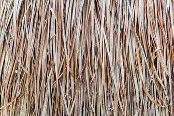 Old grass roof, close-up photos in Thailand.