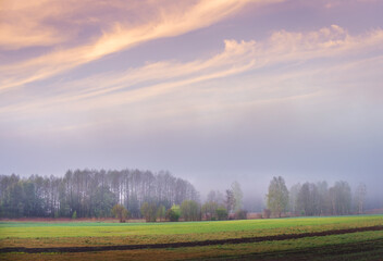 Obraz premium misty spring morning over meadows and forest