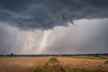 Fototapeta na wymiar A huge storm cloud with a wall of rain in the countryside.