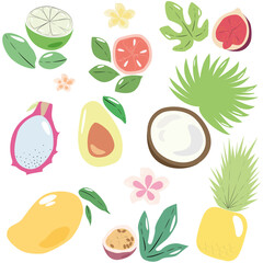 Tropic and exotic fruits vector illustration set. Flat and sketch healthy and vegan icons or illustration for web design on white background, isolated.