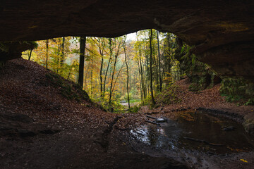 Bärenfelsen Rodalben