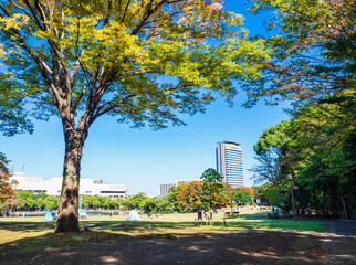 Naklejka premium 秋の公園 郊外の住宅地