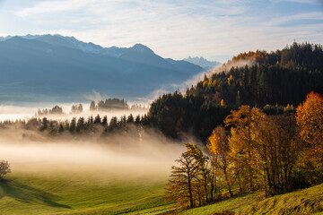 Herbst - Allgäu - Alpen - Bäume - Nebel - Sonne - Traumtag