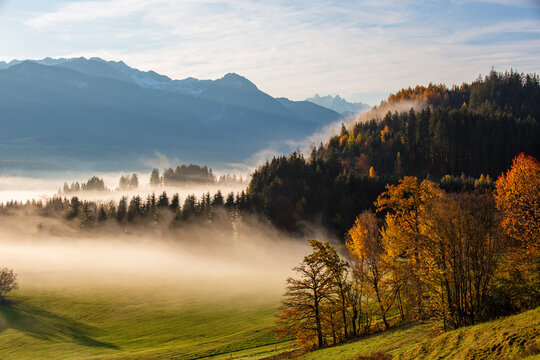 Herbst - Allgäu - Alpen - Bäume - Nebel - Sonne - Traumtag