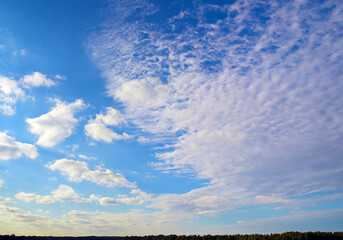 panorama. blue sky with white clouds and treetops