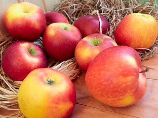 Bright red and yellow apples are stored in hay on a wooden surface