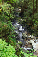 Obraz premium 払沢の滝（日本の滝百選）遊歩道（東京都檜原村）