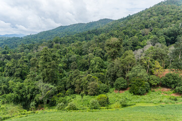 Landscape of the mountain fertile with green forest trees rich in nature with the white blue clouds winter sky in the background, up in the top view of the north of Thailand