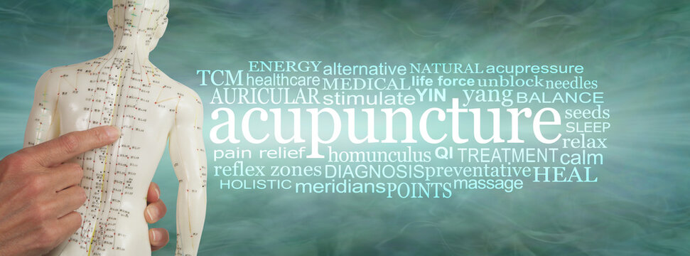 Words associated with Acupuncture Word Cloud banner - hands holding an acupuncture points dummy beside an ACUPUNCTURE word cloud   against a jade green background 
