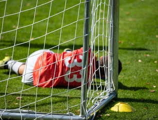 Soccer goalkeeper jumped into corner to stop the ball.