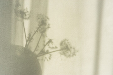 Shadow natural background of dandelion flowers on beige paper. Abstract decorative natural composition in pastel shades. Neutral nature concept blurred background with space for text. Shades of earth.