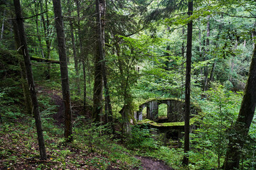 Ruins of an old building in the forest. Natural Park Vishtynetsky. High-quality photo